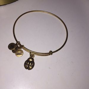 Alex and Ani ladybug bracelet